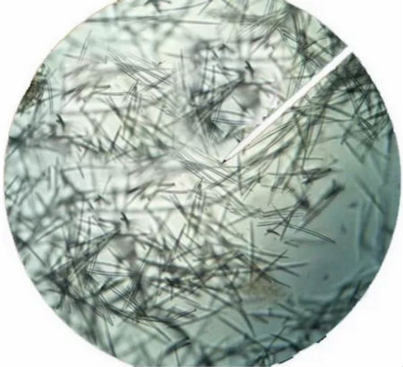 NEWNEW|修復(fù)痘坑痘印還得靠海藻煥膚