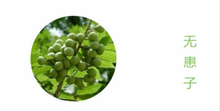 NewNewDIY|敏感肌如何選洗面奶？皮膚科醫(yī)生推薦這款！