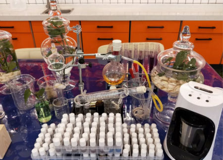 圣誕節，來NEWNEW智能光電美膚館給心愛的人驚喜吧