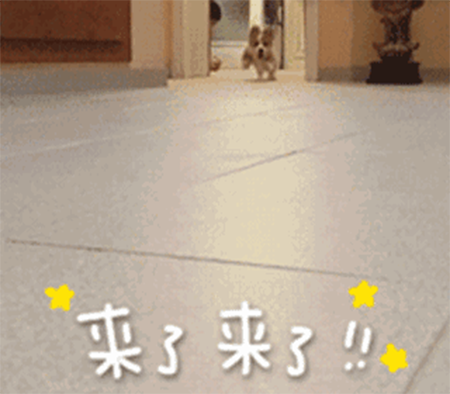 美妝課堂 | 春夏元氣口紅大推薦，選擇這幾支準沒錯！