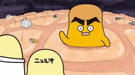 黑頭總是去不掉？這可能是比較全比較有效的去黑頭指南了！