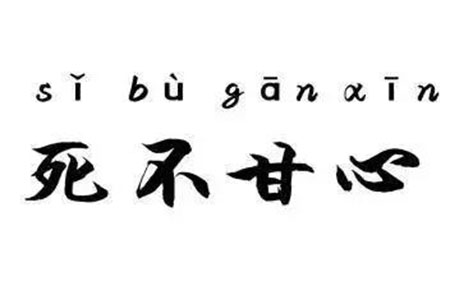 敏感肌們，你離變美就差這瓶精華液啦！