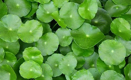 敏感肌們，你離變美就差這瓶精華液啦！