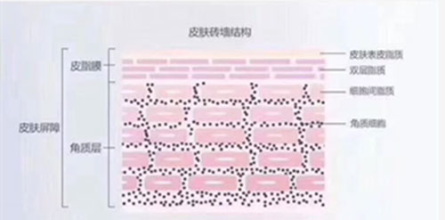 嚴重敏感肌會毀容?!從“爛臉”到正常只需這一步!