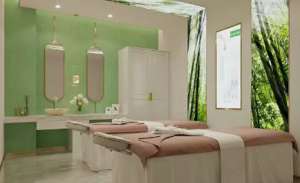 VN智能光電美膚館：高科技美膚項目優勢明顯！