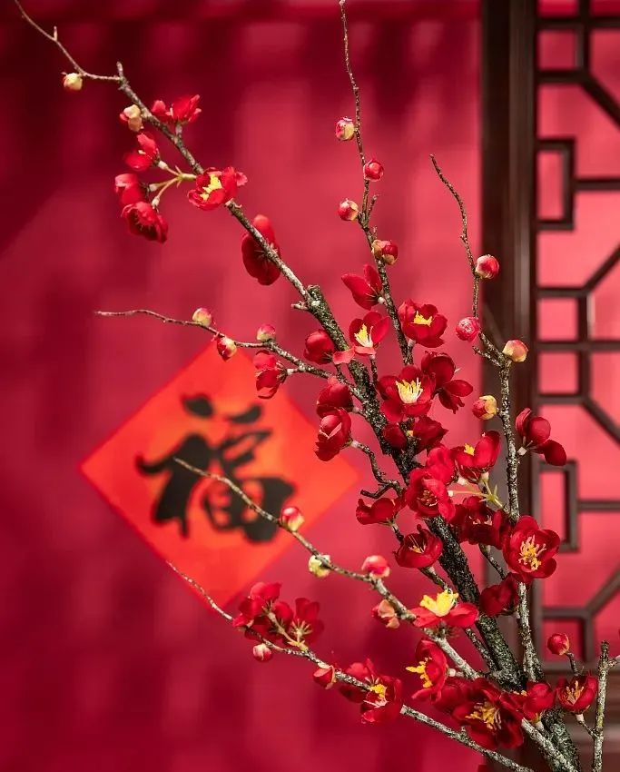 辭舊迎新，兔年納福，心懷熱愛，共赴山海！