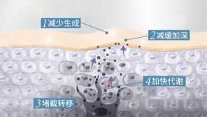 水漾保濕爽膚水，抓住發光“肌”密