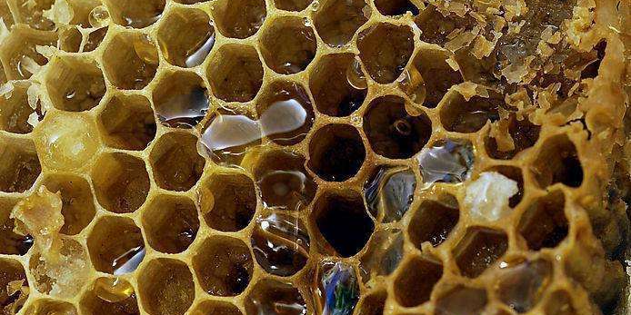 想讓精華效果翻多倍？做對(duì)這三點(diǎn)就OK！